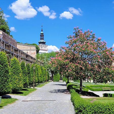 Chateau View Apartment Mikulov Bagian luar foto