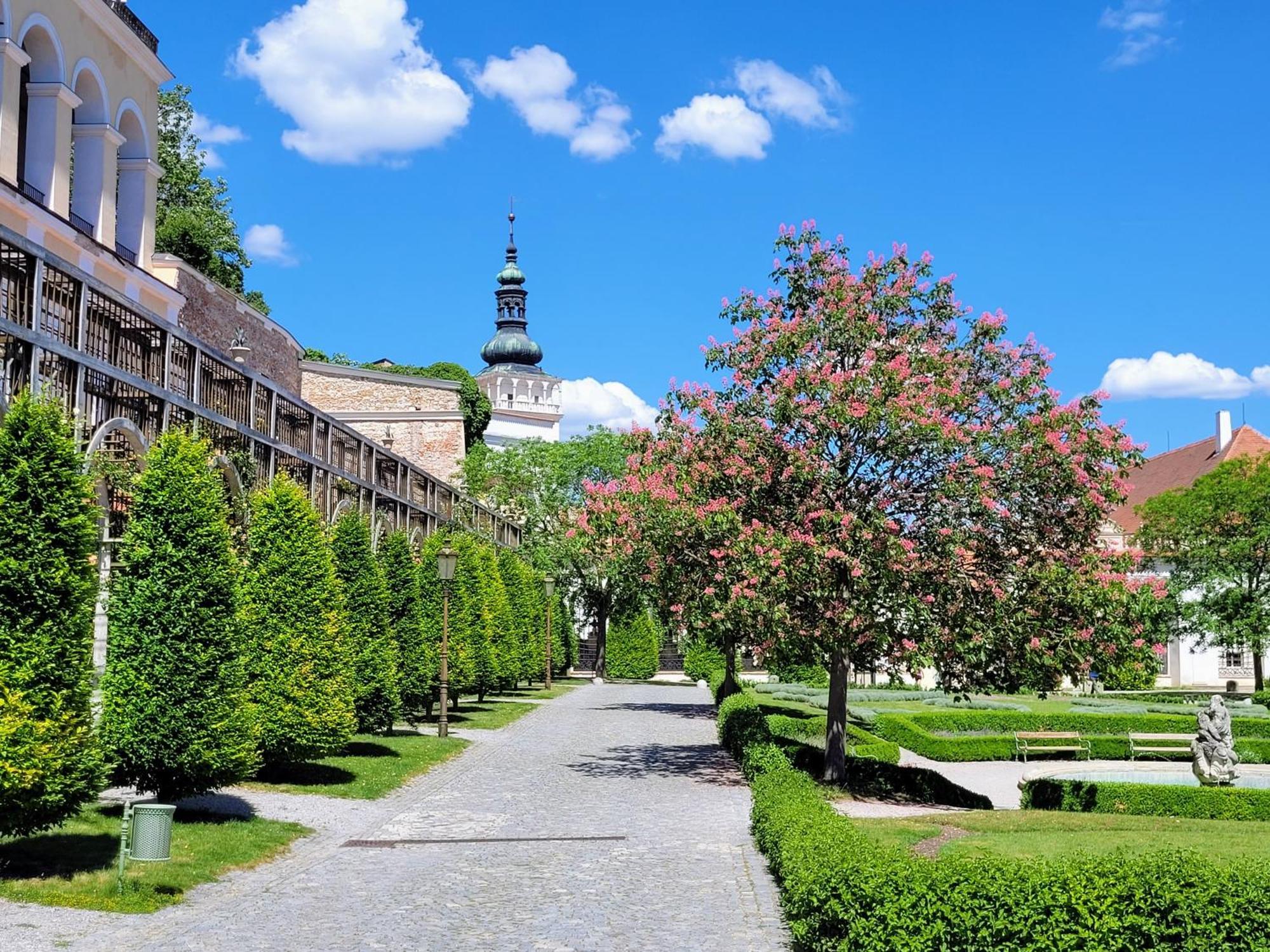 Chateau View Apartment Mikulov Bagian luar foto